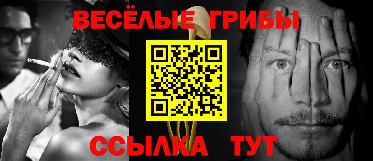 Галлюциногенные грибы Cubensis Дербент