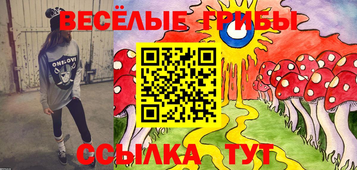 Псилоцибиновые грибы прущие грибы  Вход с VPN  Псилоцибиновые грибы Psilocybe  Дербент 